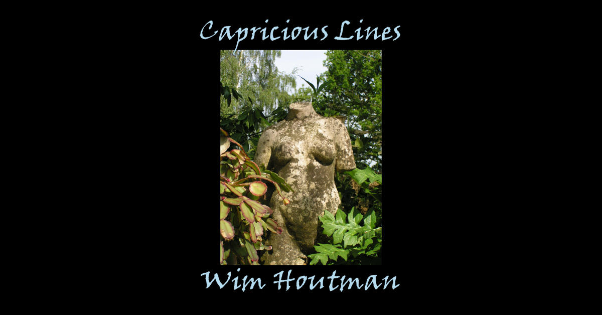 capricious lines wim houtman album art